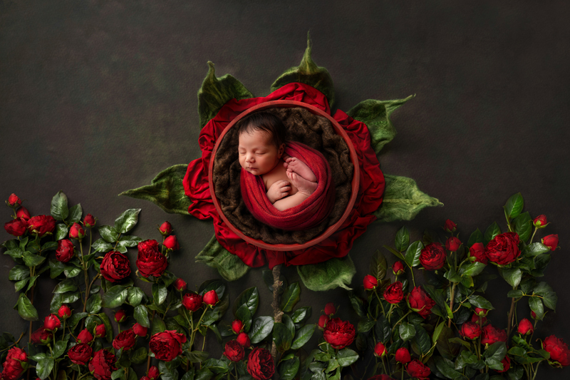 valentine theme newborn photography in Tampa, FL | oohlalaartphotpgraphy